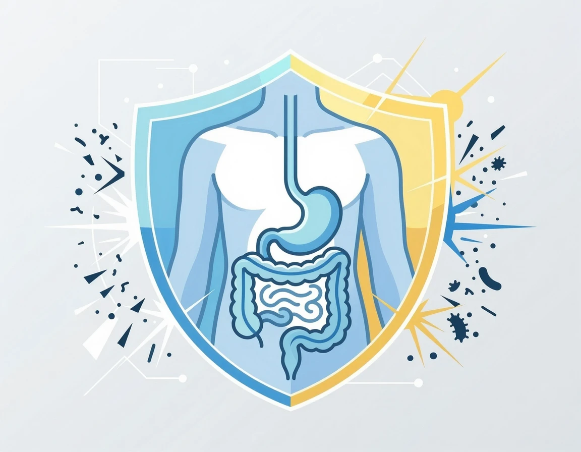 소화기관을 보호하는 빛나는 방패 일러스트